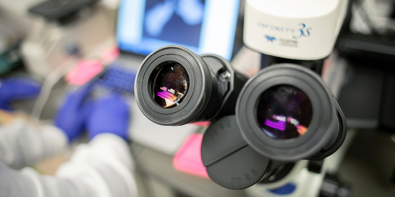 Close up of a laboratory microscope with eyepieces in focus and a research workspace in the background