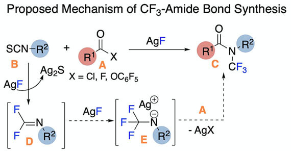 CF3-amid-bond.jpg