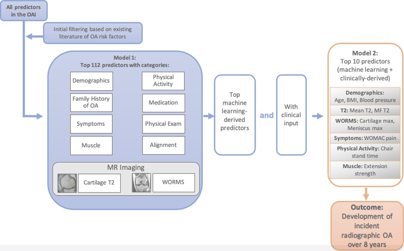 Flowchart showing a machine learning framework for predicting knee osteoarthritis development using Osteoarthritis Initiative data, starting with 112 predictors across demographics, symptoms, physical activity, muscle, alignment, medication, and MRI measures, and narrowing to a top 10 clinically informed predictors to model incident radiographic osteoarthritis over eight years.