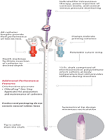 BARD Trialysis catheter