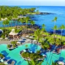 Breast Orchid Pool Horiz GIF.jpg