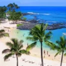 NeuroMSK Orchid Beach Horiz GIF.jpg