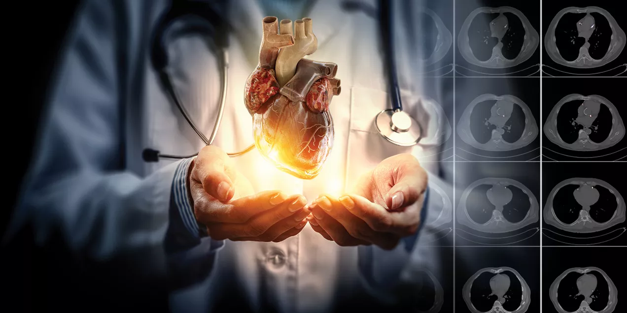 doctor holding an illuminated 3D heart model in their hands with CT chest scan slices displayed along the right side of the image