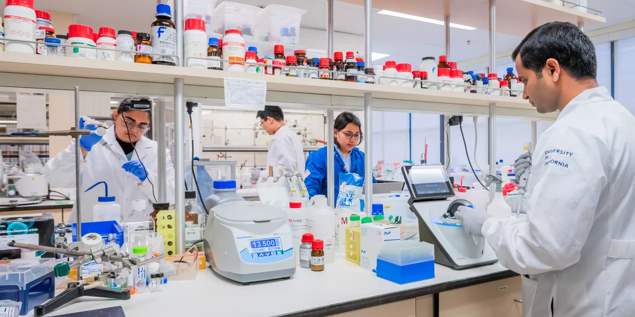 Researchers working in UCSF lab