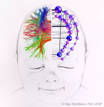 baby with brain neuro pathwayts