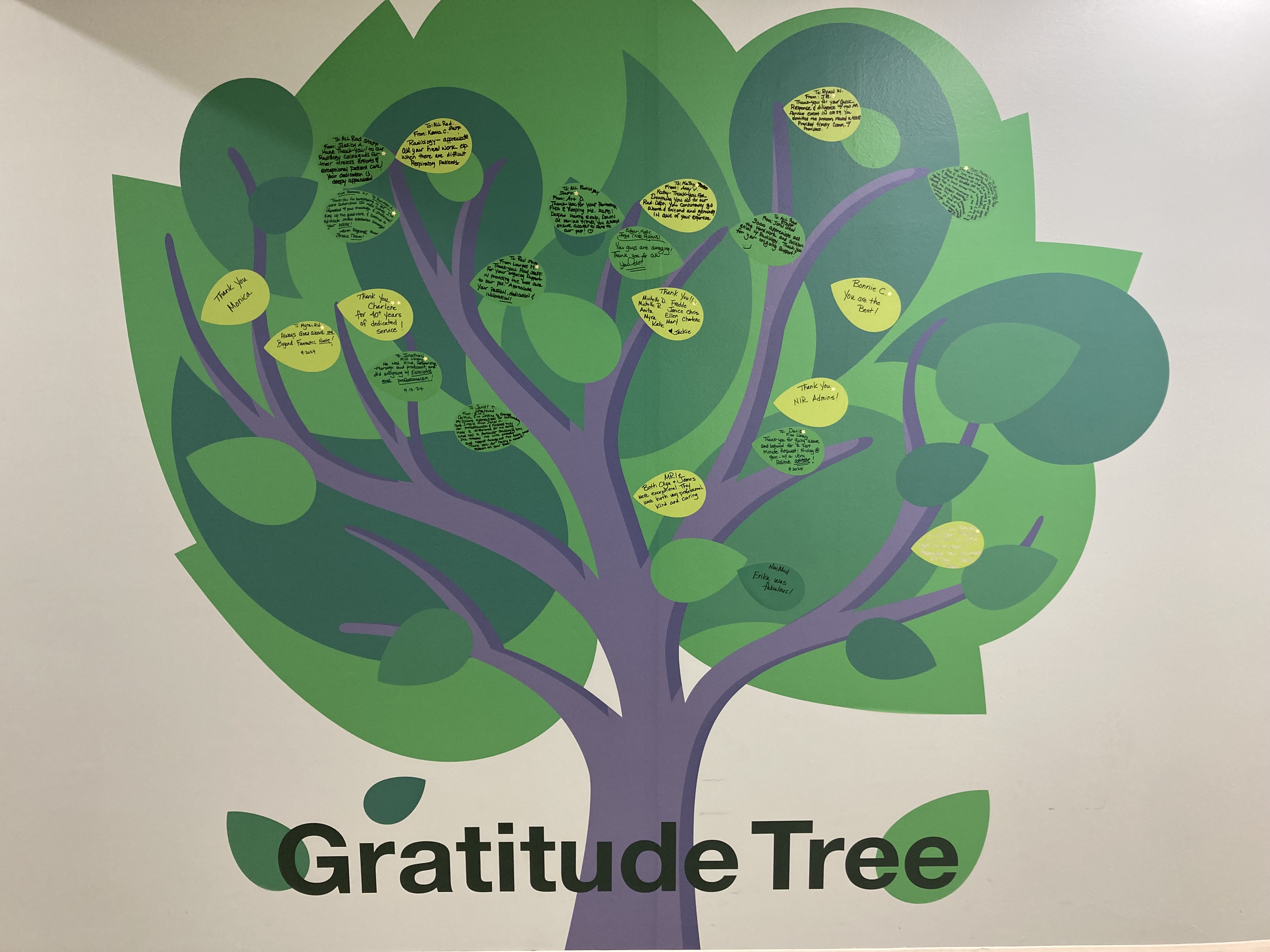 Tree painted on wall