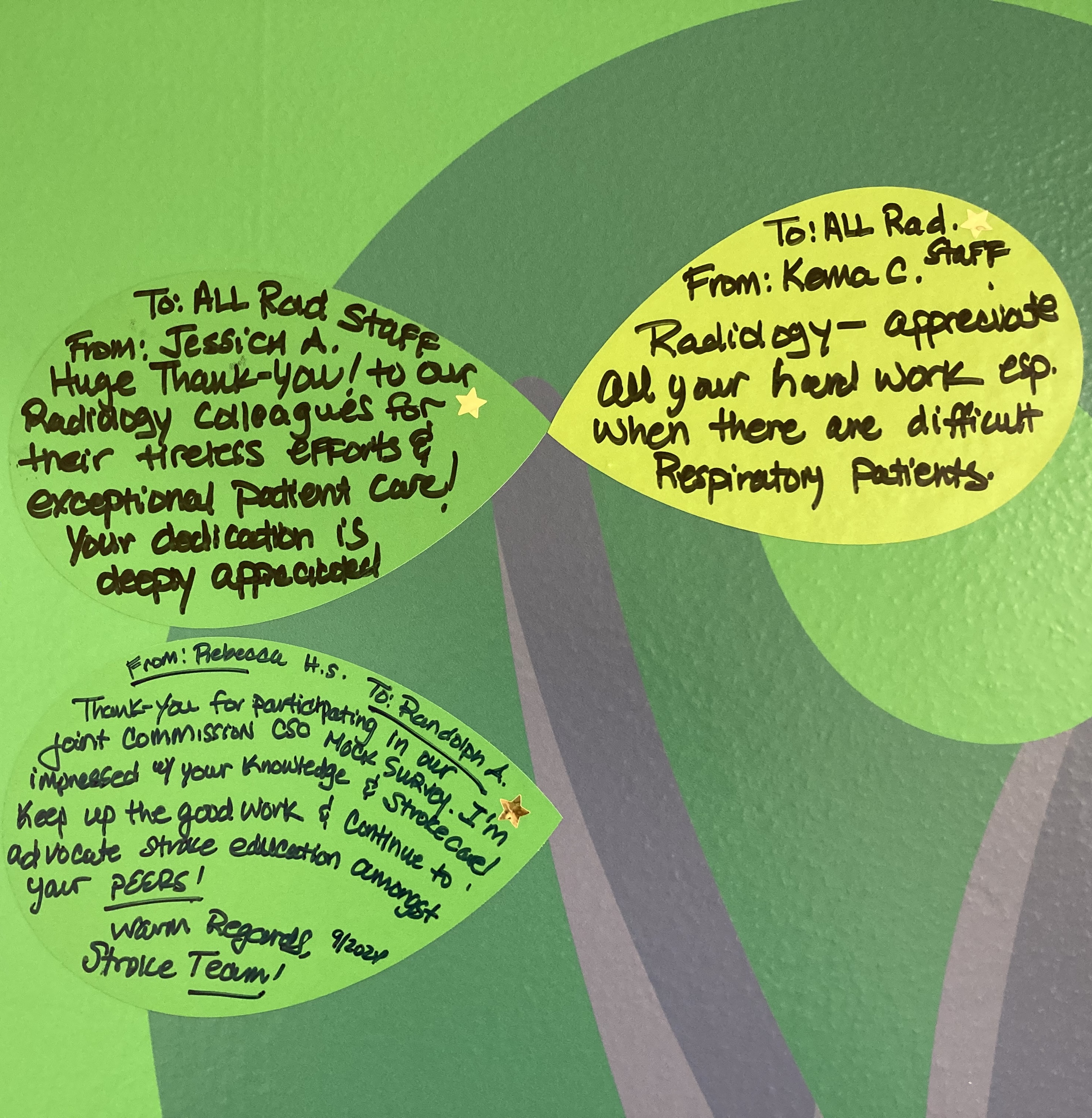 Three leaves with handwritten messages