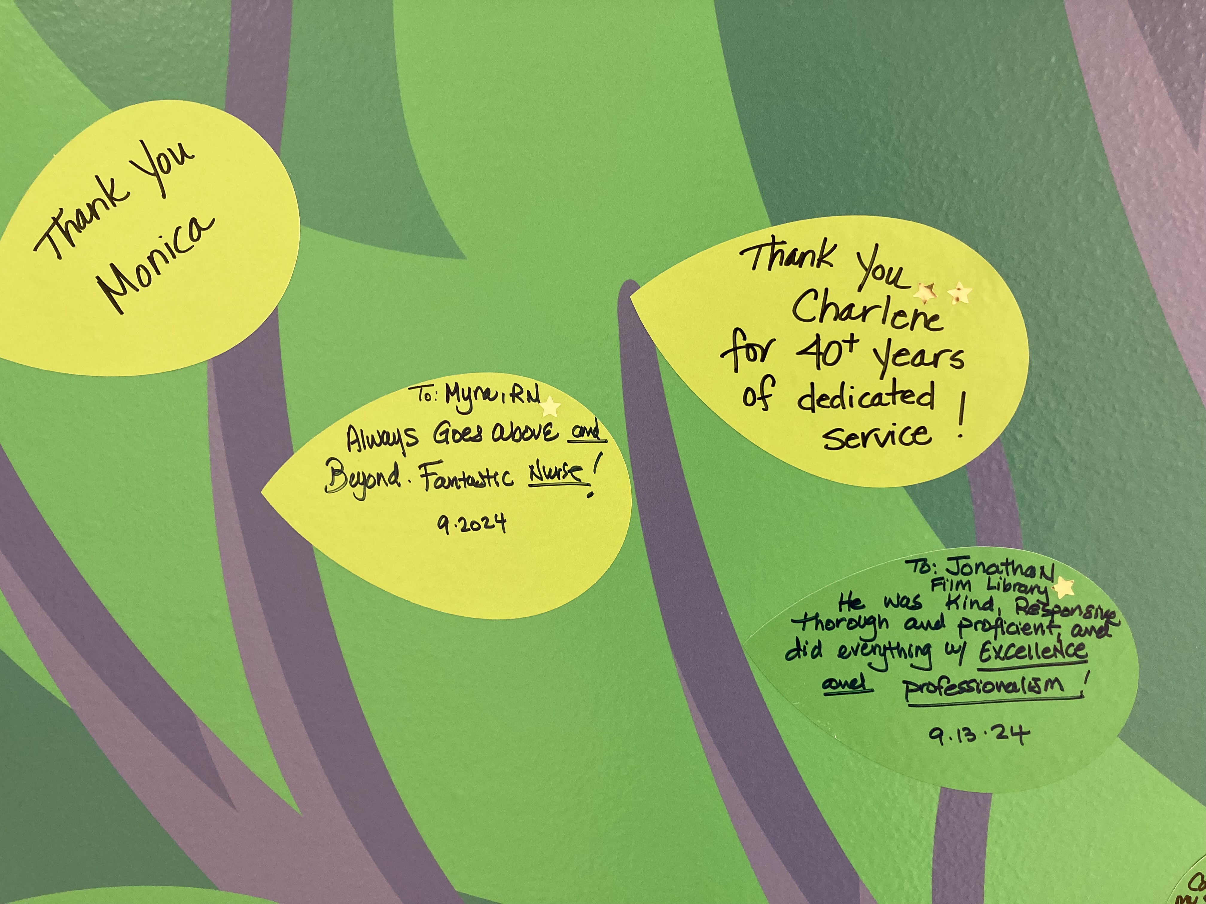 Painted leaves with written messages